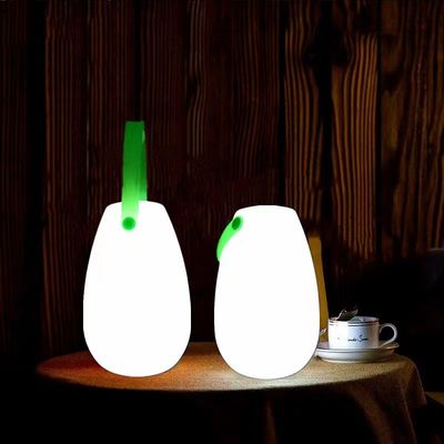 2700K CCT 플라스틱 LED 휴대용 램프 재충전 가능한 레스토랑