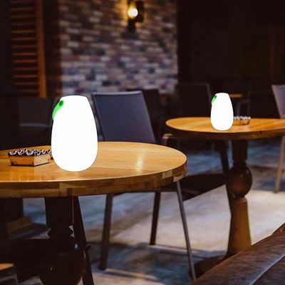 2700K CCT 플라스틱 LED 휴대용 램프 재충전 가능한 레스토랑