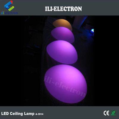 반 원형 방수 유색 플라스틱 LED 장식 조명