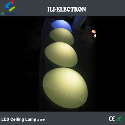 반 원형 방수 유색 플라스틱 LED 장식 조명