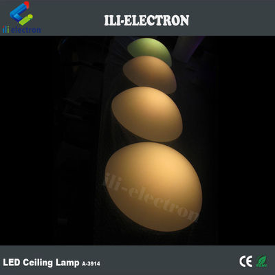 반 원형 방수 유색 플라스틱 LED 장식 조명