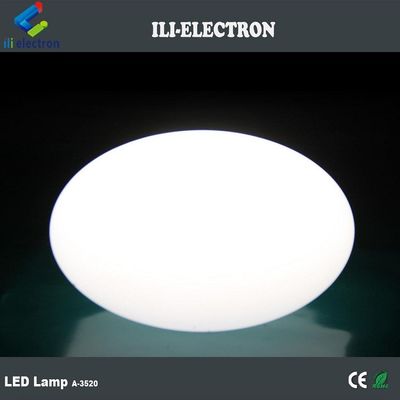 방수 SMD 5050 야외 LED 구구 / LED 글로브