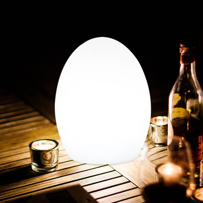 달걀 모양 LED 작은 밤 램프